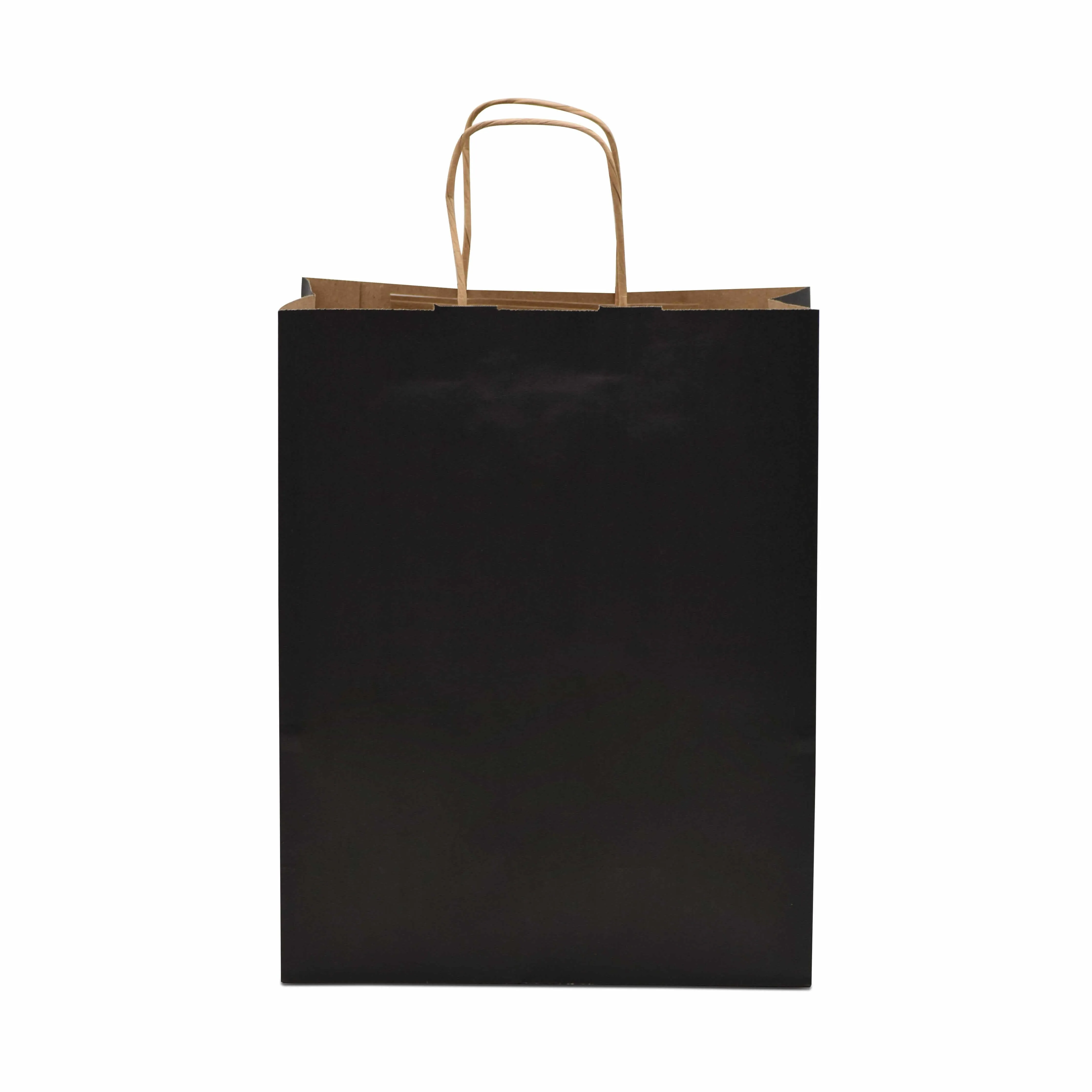 10x5x13 Medium Black Paper Bags with Handles