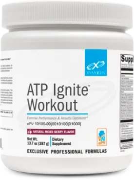 ATP IGNITE WORKOUT MIXED BERRY