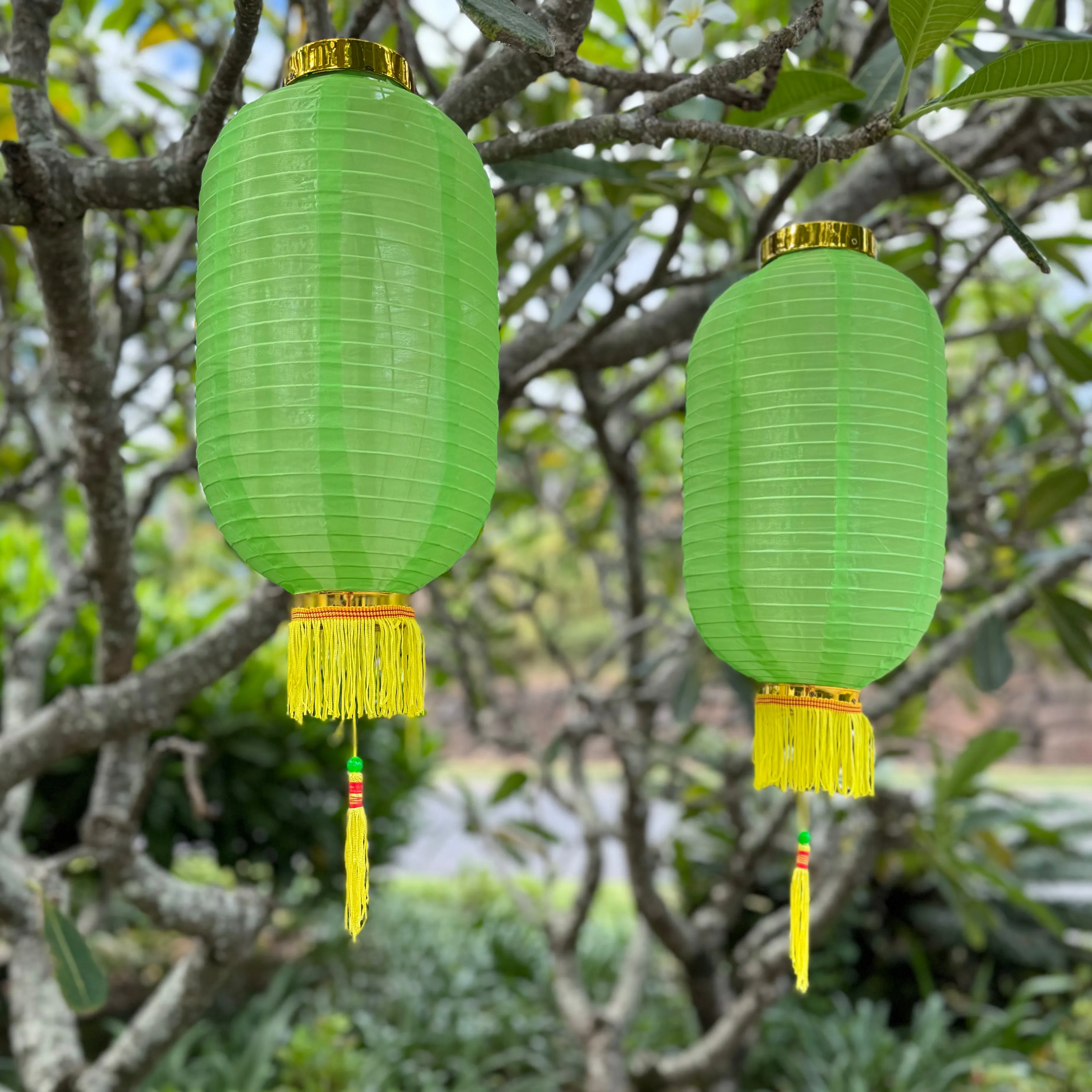 Medium Chinese Cylinder Lanterns (20 x 40cm) - Nylon 2pack