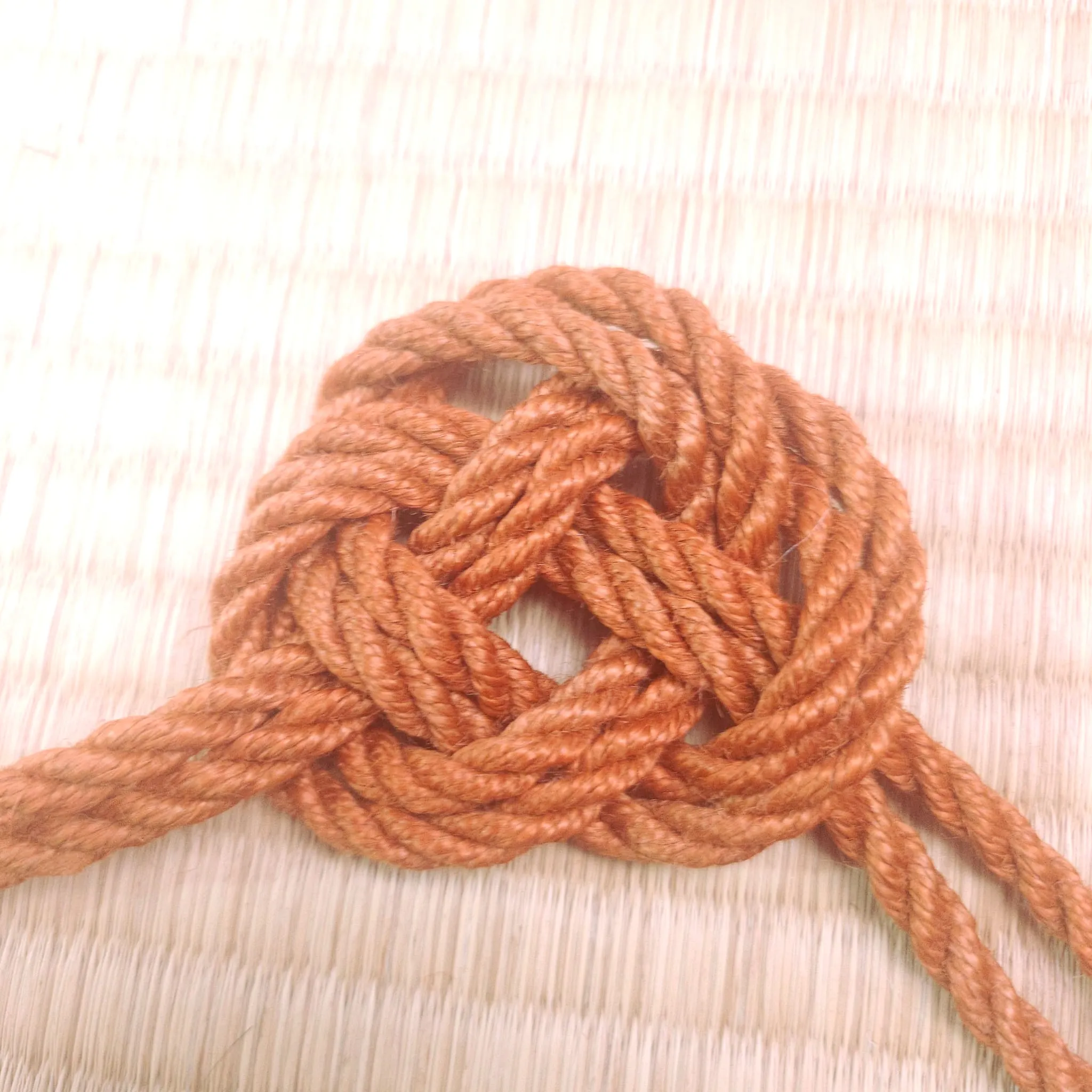 Orange 2-Ply Jute Shibari Rope