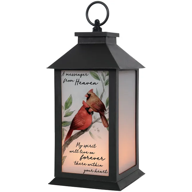 "A Message" Cardinal Sympathy Lantern